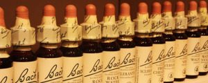 bachbloesemremedies